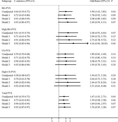 Perivascular spaces visible on magnetic resonance imaging predict subsequent delirium in older patients